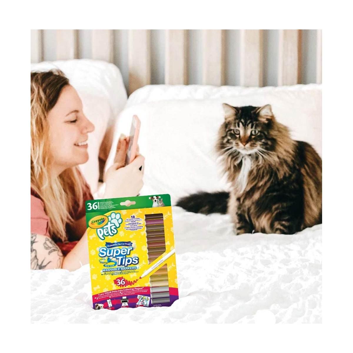 Pennarelli crayola pets - 36 pz