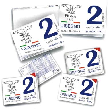 Pigna - album disegno pigna 2 - carta liscia riquadrata - 12 fg - 110 gr - 33 x 48 cm