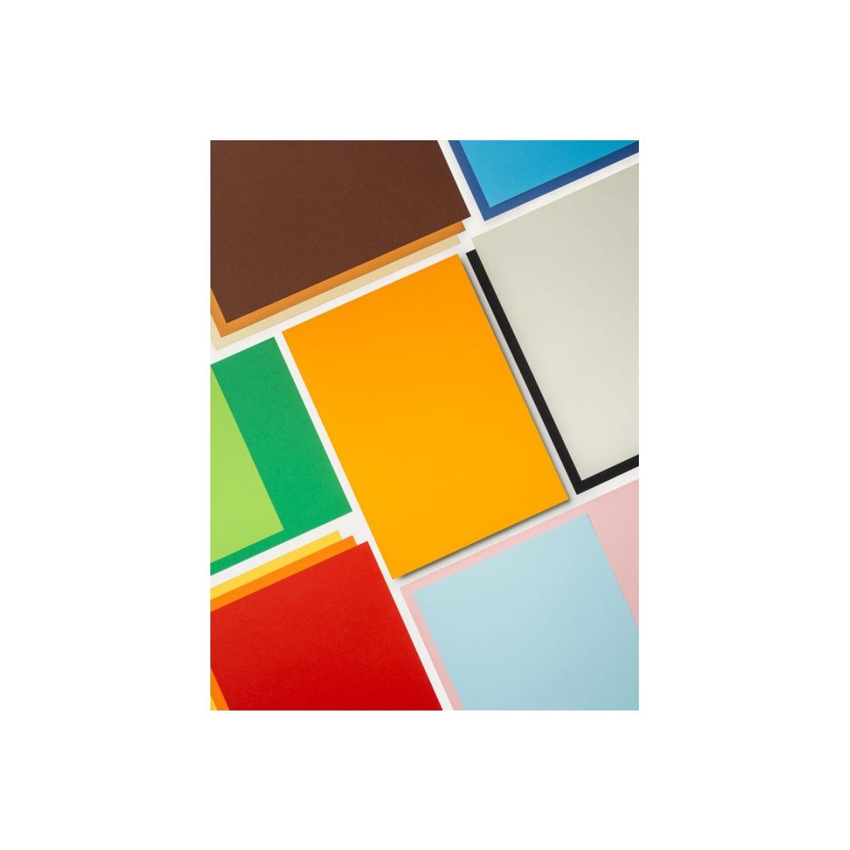 Favini - colorissimi 25  35 cm - 200gr - 240 fg lisci bristol - 12 colori assortiti