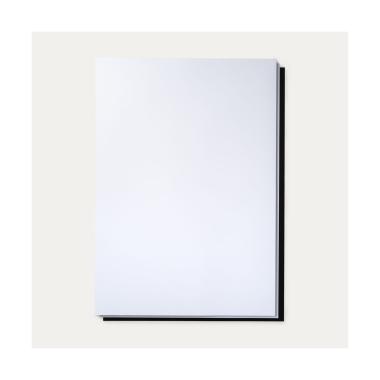 FAVINI - CARTONCINO PESANTE BRISTOL - BIANCO - 700 GR - 71 X 101 CM