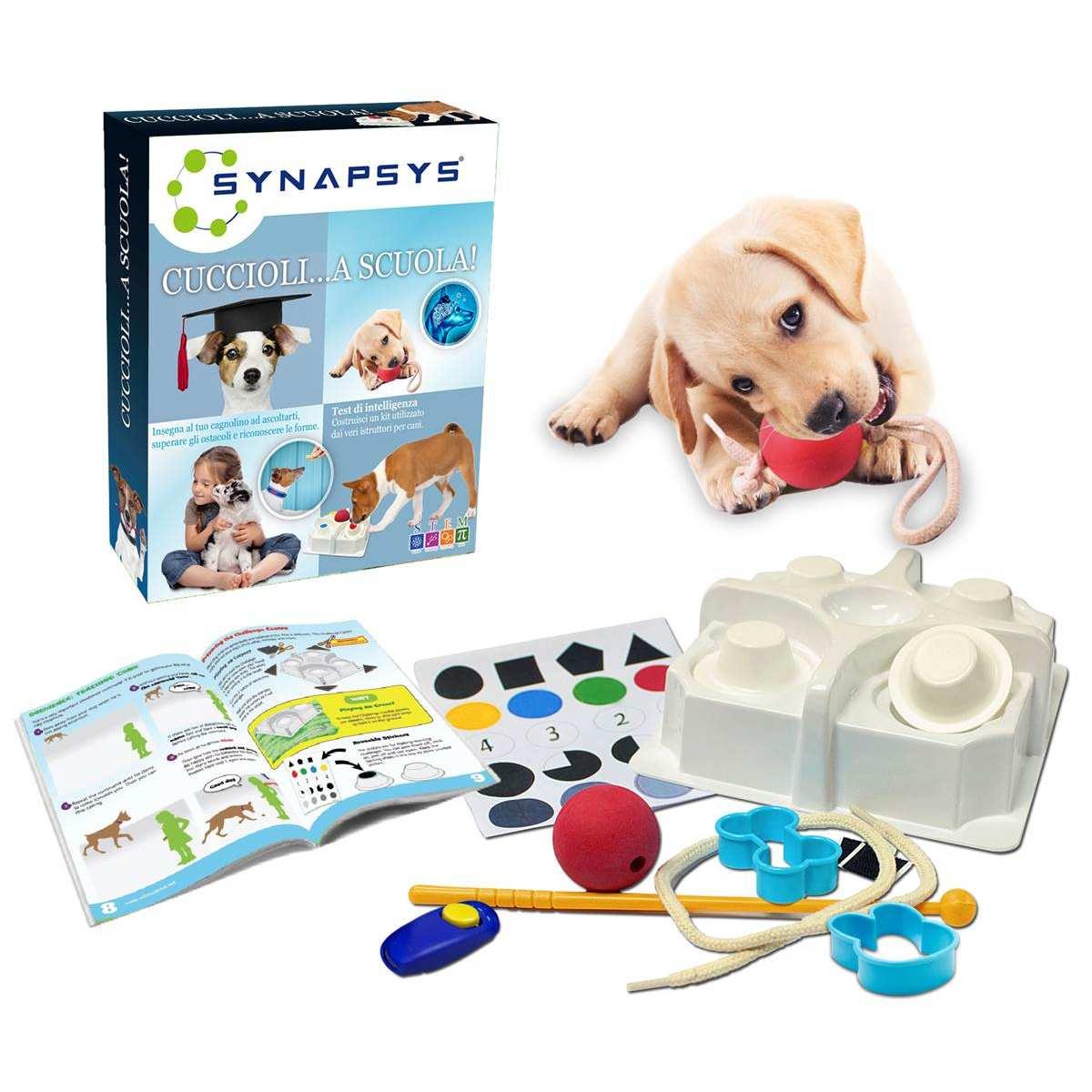 Synapsys cuccioli ... a scuola !