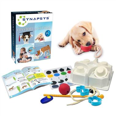 Synapsys cuccioli ... a scuola !