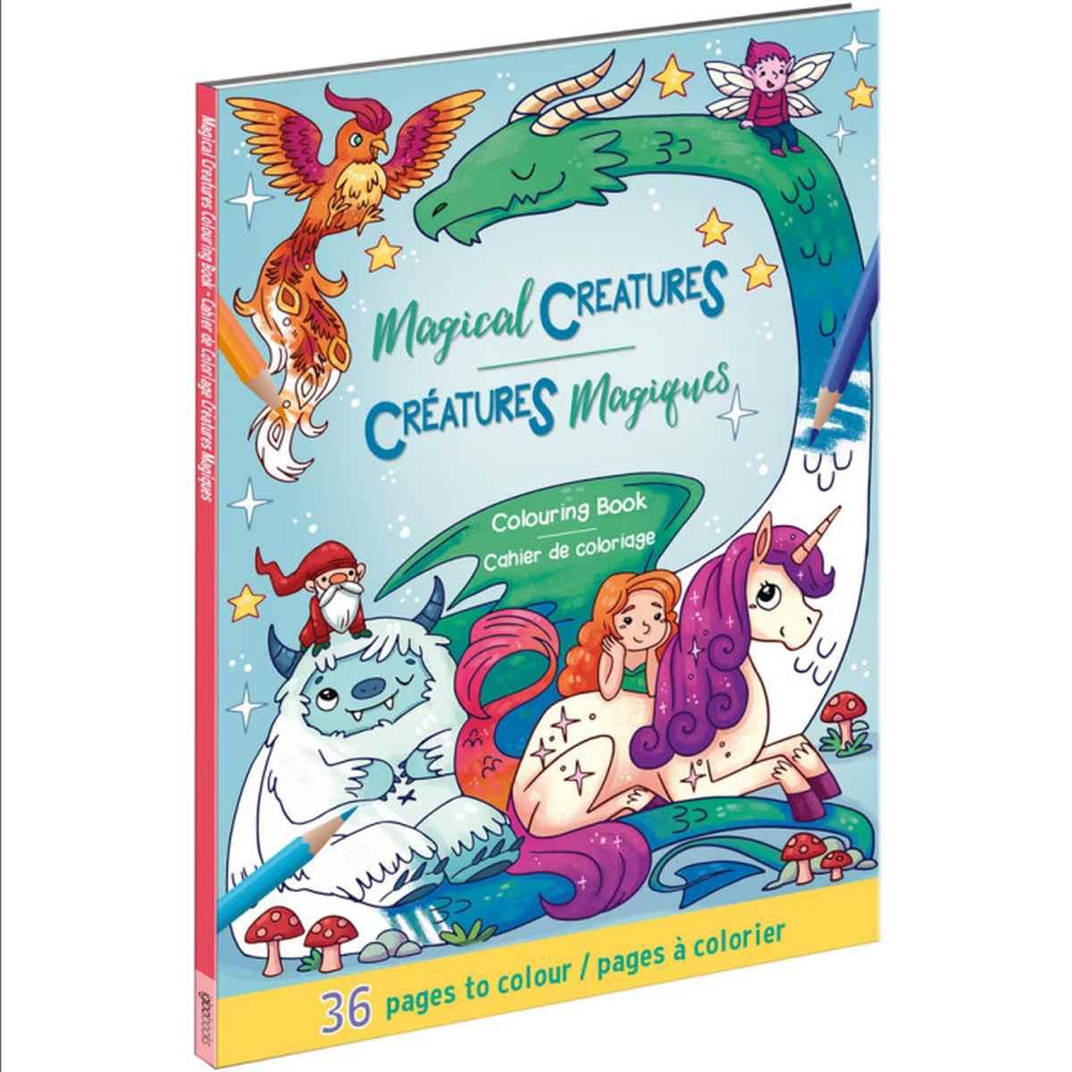 Bic kids kit intensity igloo