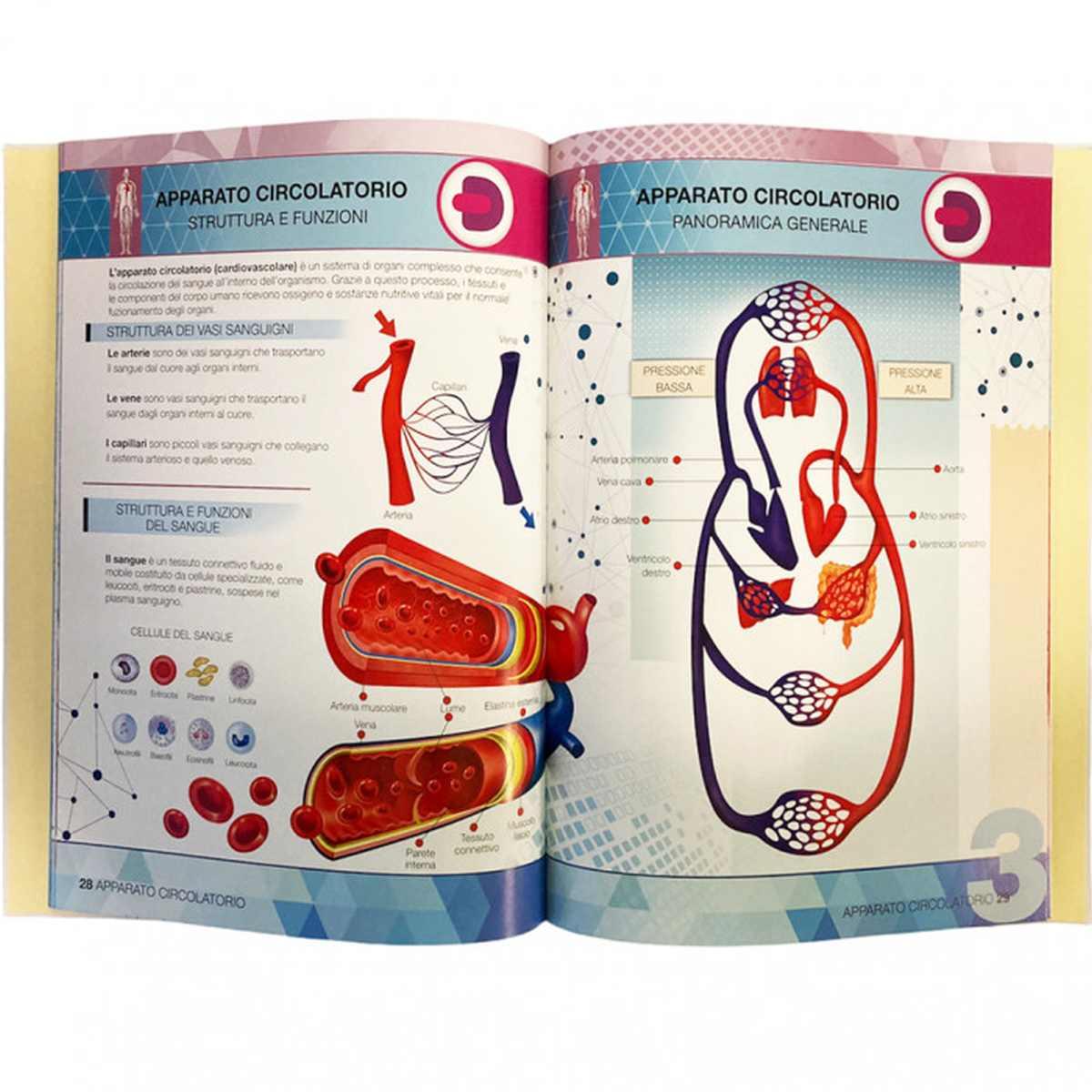 Ludattica - il corpo umano - primo atlante di anatomia con realta' aumentata