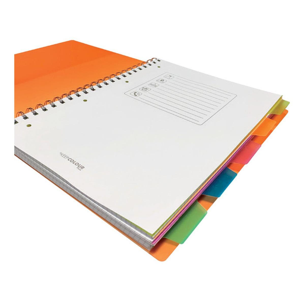 Trascolor quaderni spiralati con divisori a4 5 divisori 120fg 70gr
