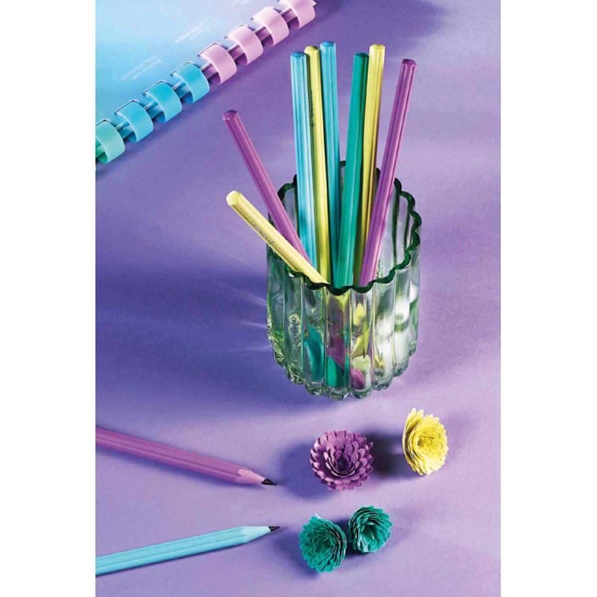 Matita con fusto a fiore hb rainbow pastel osama