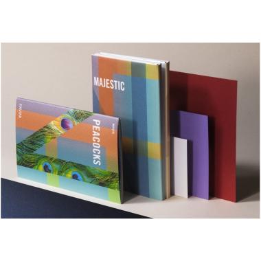 Favini carta majest digital - 250 gr - 48,3 x 33 cm - 250 ff