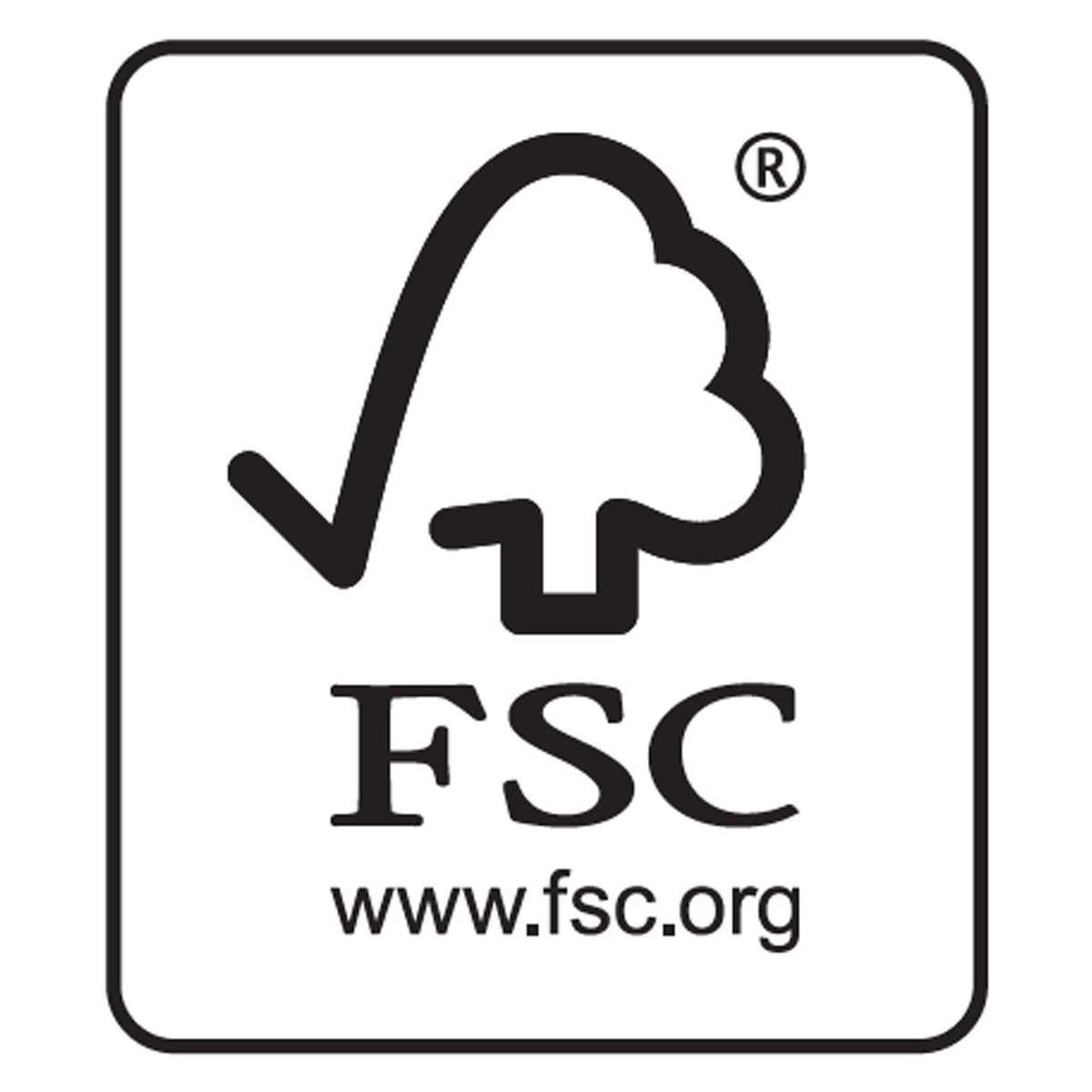 Mondi color copy - formato a4 - 250 gr/mq -  risma  da 125 fogli - carta per stampa a colori digitale -