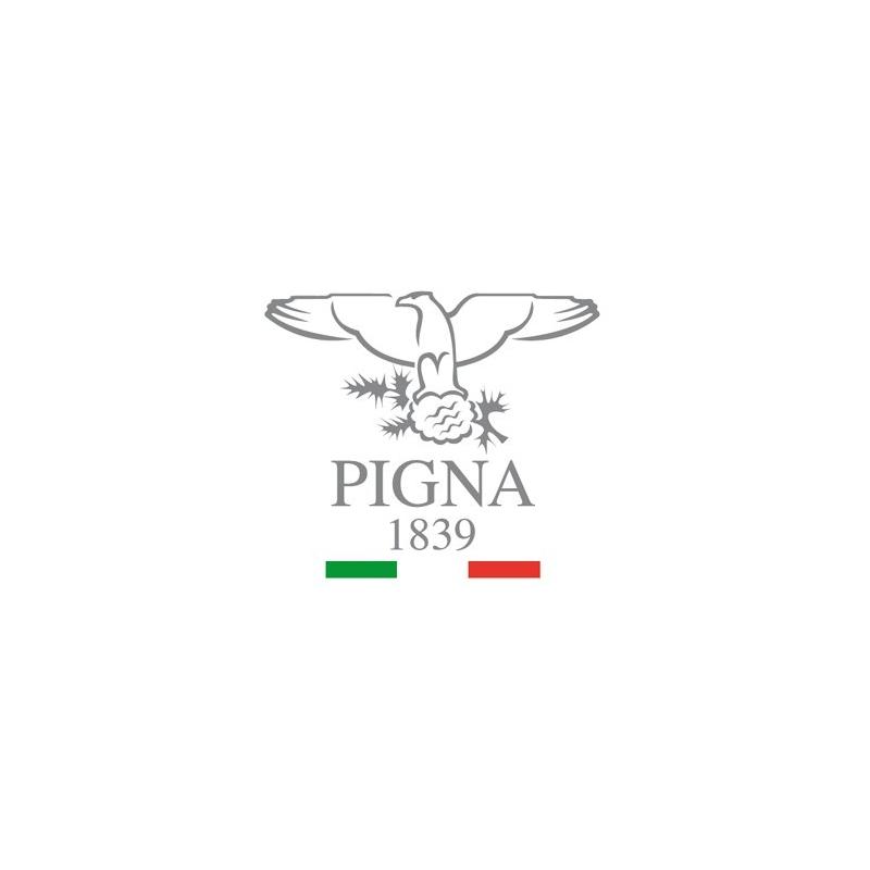 Pigna - maxi quaderni a4 regioni d'italia - 50 ff/sh - carta 100 gr