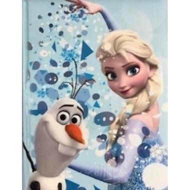 Diario standard 10 mesi frozen